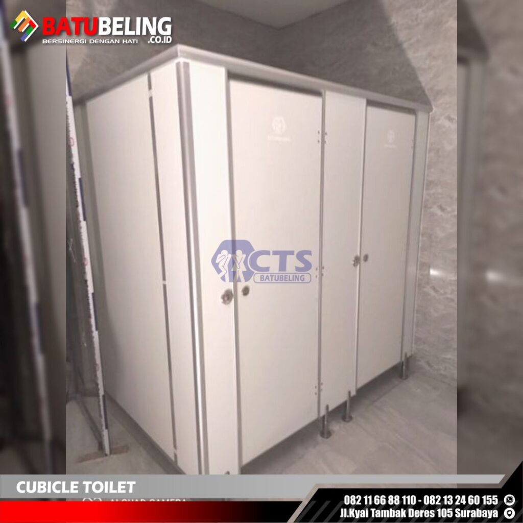 cubicle toilet