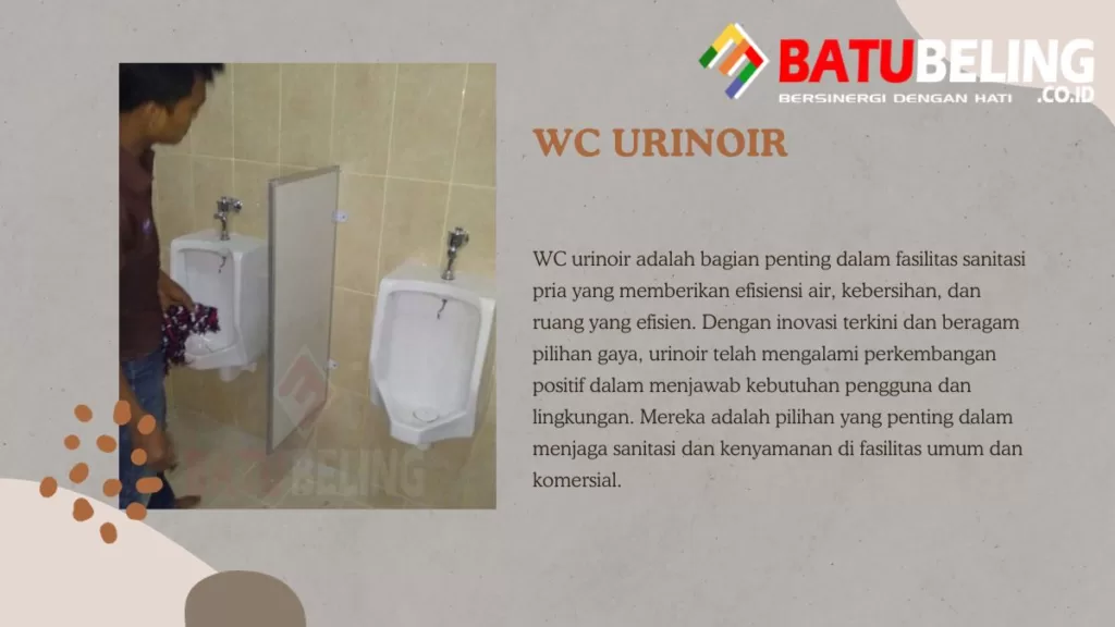 wc urinoir