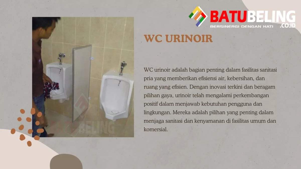 wc urinoir